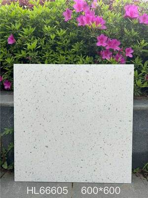 주문 멋지고 세련된 베이지색 600x600mm 실내 바닥 테라초 세라믹 타일 식사실 온라인 제품