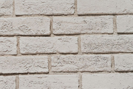 주문 회색 시멘트 인조석 벽돌 60x200mm (실내/외 벽용) 온라인 제품