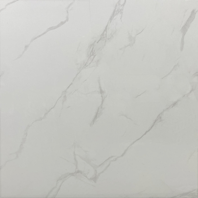 산성 저항 맑은 가시화 된 타일 내부 벽 및 바닥 패널 60x60cm 거실 W.A 0.05%