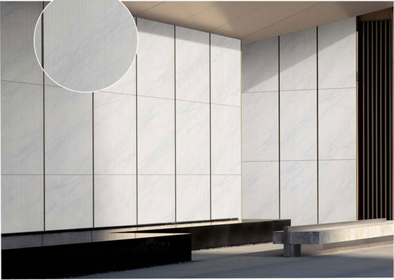 3D 라인 화이트 매트 고대 외관 커튼 벽 폼플라인 타일 600x1200cm 쇼핑몰 및 건물